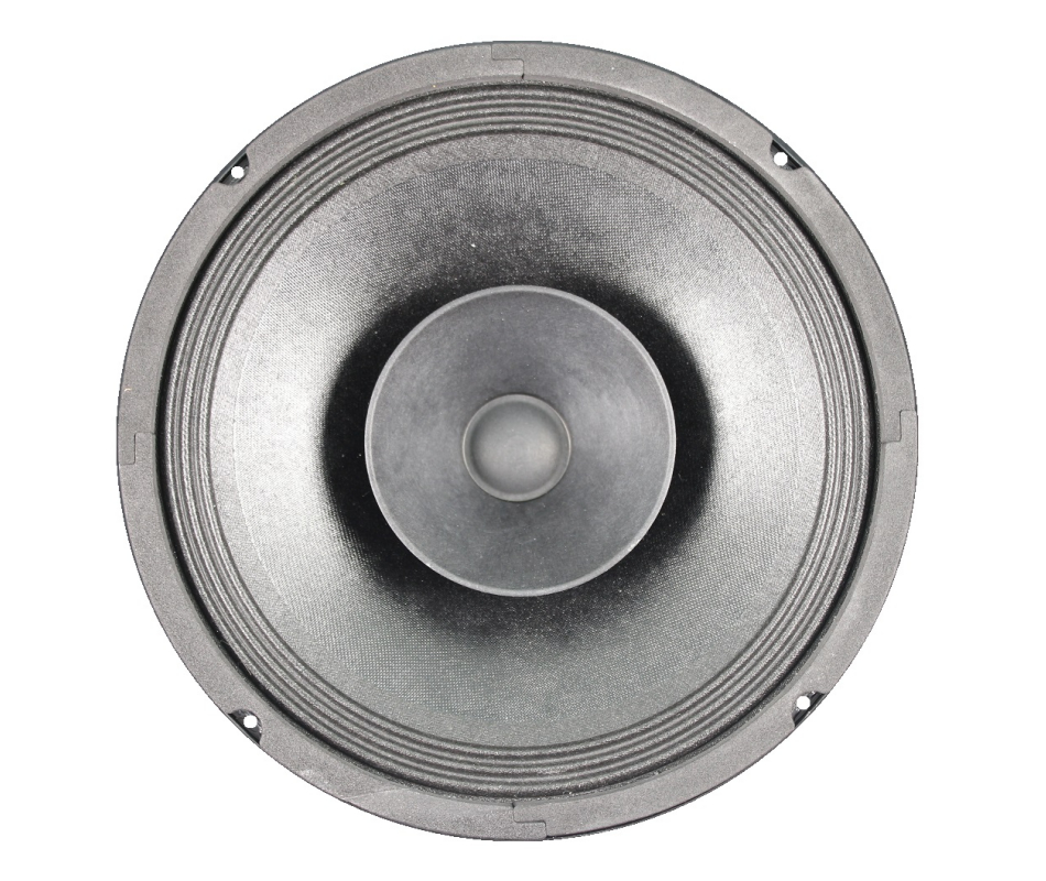 Audio Parts Rockwood Dy1026u Pa Woofer 10