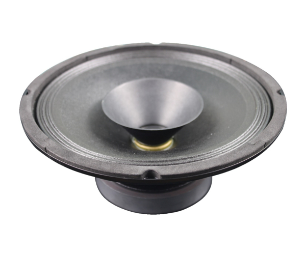 Rockwood DY1026U Breitband-Lautsprecher (253mm)